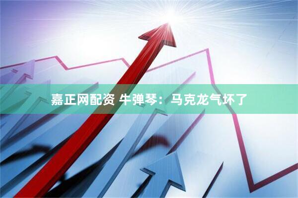 嘉正网配资 牛弹琴：马克龙气坏了